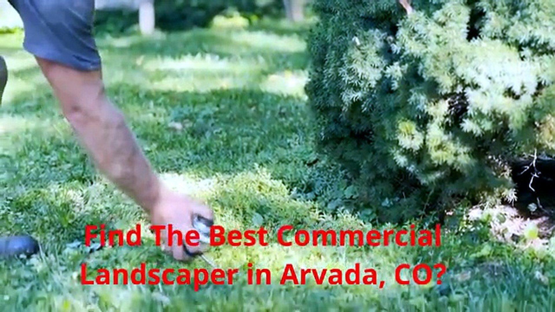 Greenspace Landscaping - Commercial Landscaper in Arvada, CO