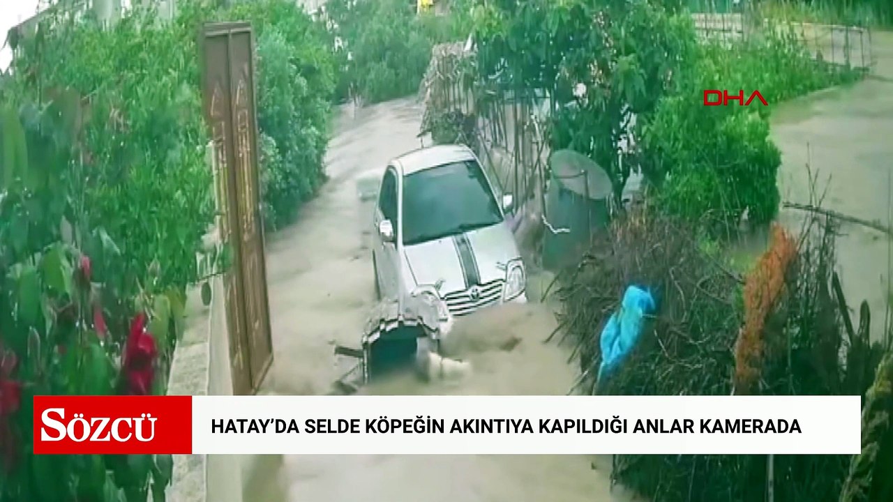 Hatay'da selde köpeğin akıntıya kapıldığı anlar kamerada
