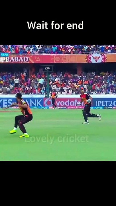 Beat run out| Cricket| lovely cricket| cricket shorts| cricket video| cricket shorts video| #shorts #cricket #viralvideo #cricketshorts #viral #cricketshorts #sports #trending
