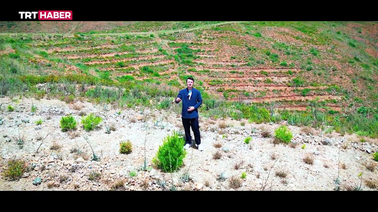 Yandı bitti ama kül olmadı...