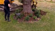 He turned his backyard into a hidden underground container home! 🏡✨ #DIYHome #ContainerHome
