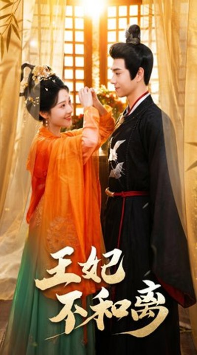 🎬 The Princess Doesn't Want a Divorce, The Princess Refuses Divorce - Full HD English Sub