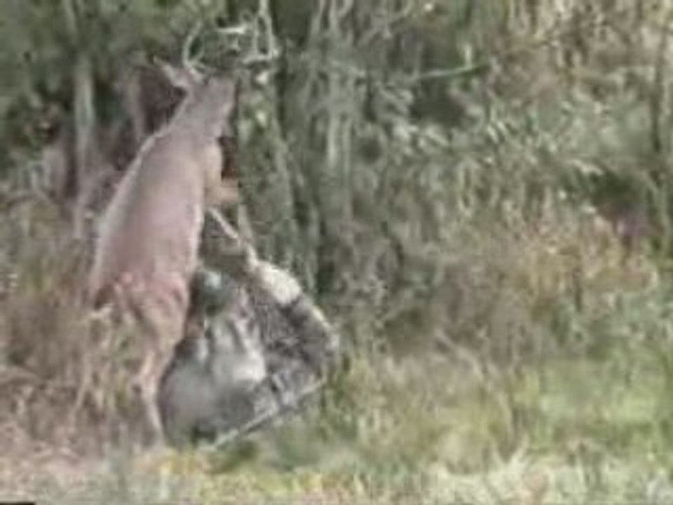 Regis a la chasse !!!!!!!!!!!!