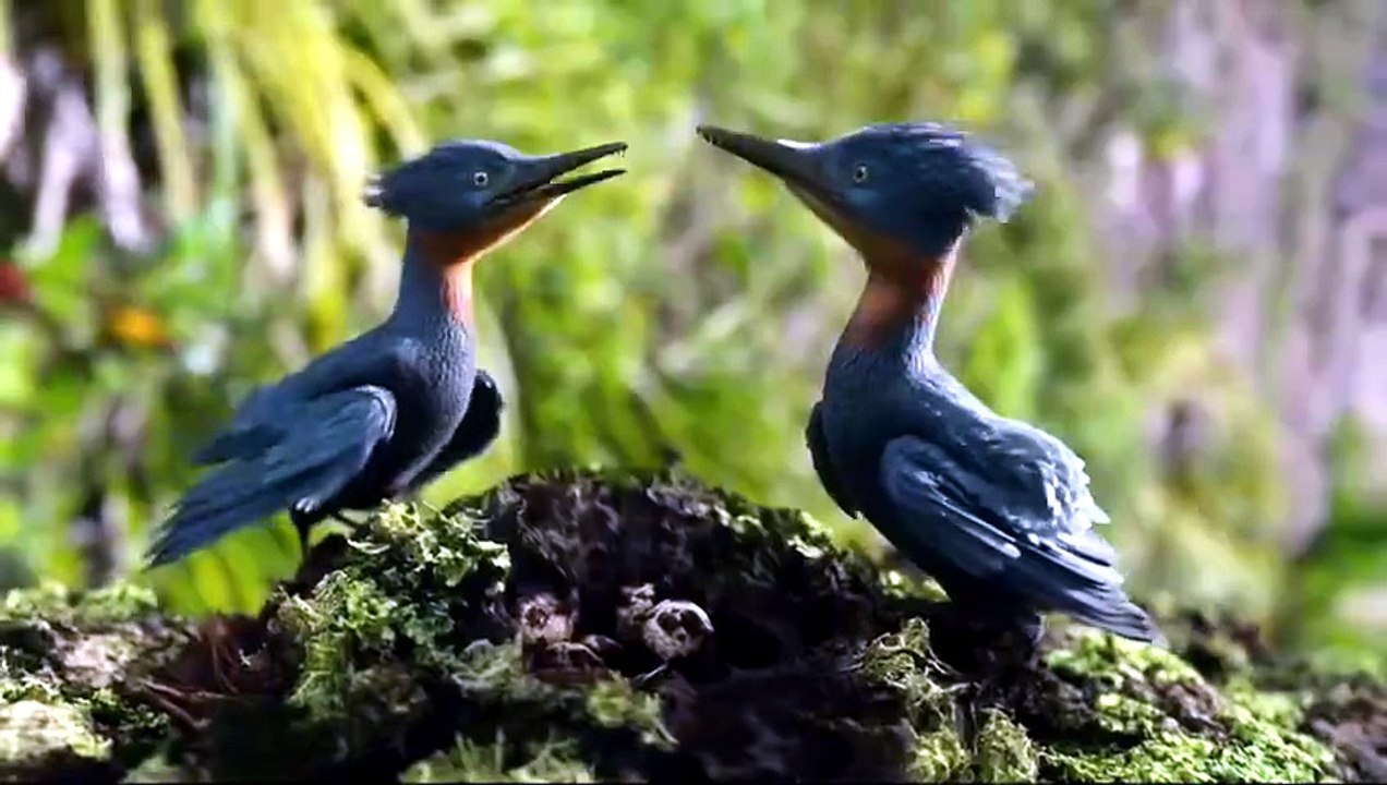 The Dinosaurs E