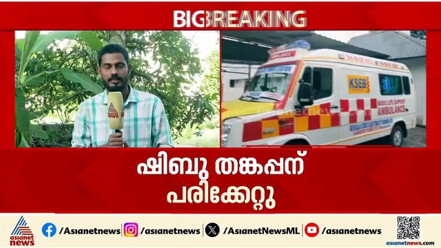 പത്തനംതിട്ടയിൽ കെഎസ്ഇബി ഉദ്യോഗസ്ഥനുനേരെ കാട്ടാന ആക്രമണം