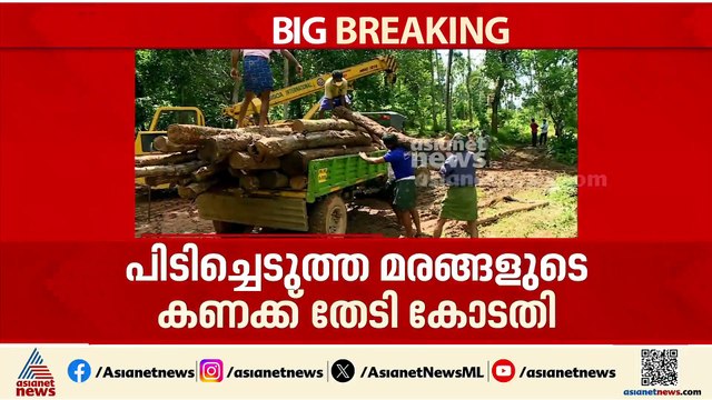 മുട്ടിൽ മരംമുറിക്കേസ്; പിടിച്ചെടുത്ത മരങ്ങളുടെ കണക്ക് തേടി കോടതി