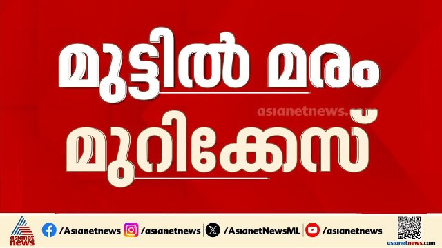 മുട്ടിൽ മരംമുറിക്കേസ്; പിടിച്ചെടുത്ത മരങ്ങളുടെ കണക്ക് തേടി കോടതി