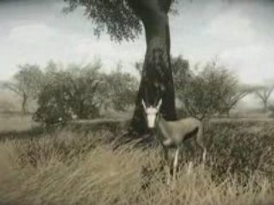 FARCRY 2 TEASER