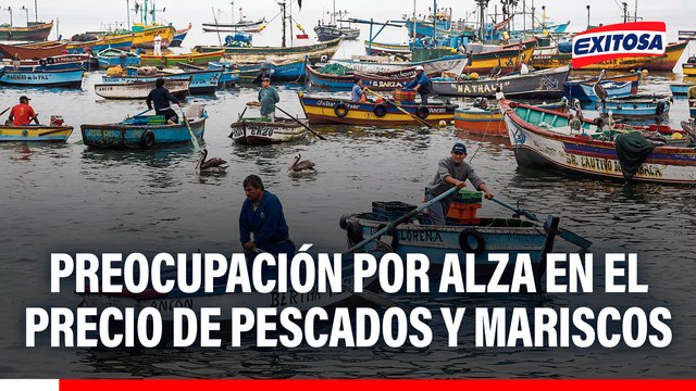 Empresarios cevicheros preocupados frente al alza en el precio del pescado