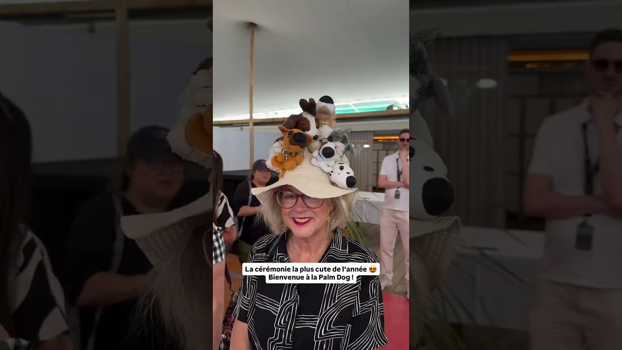 Strass, paillettes et coussinets ! Immersion au cœur de la célèbre Palm Dog 🐶 📹 : laugalant