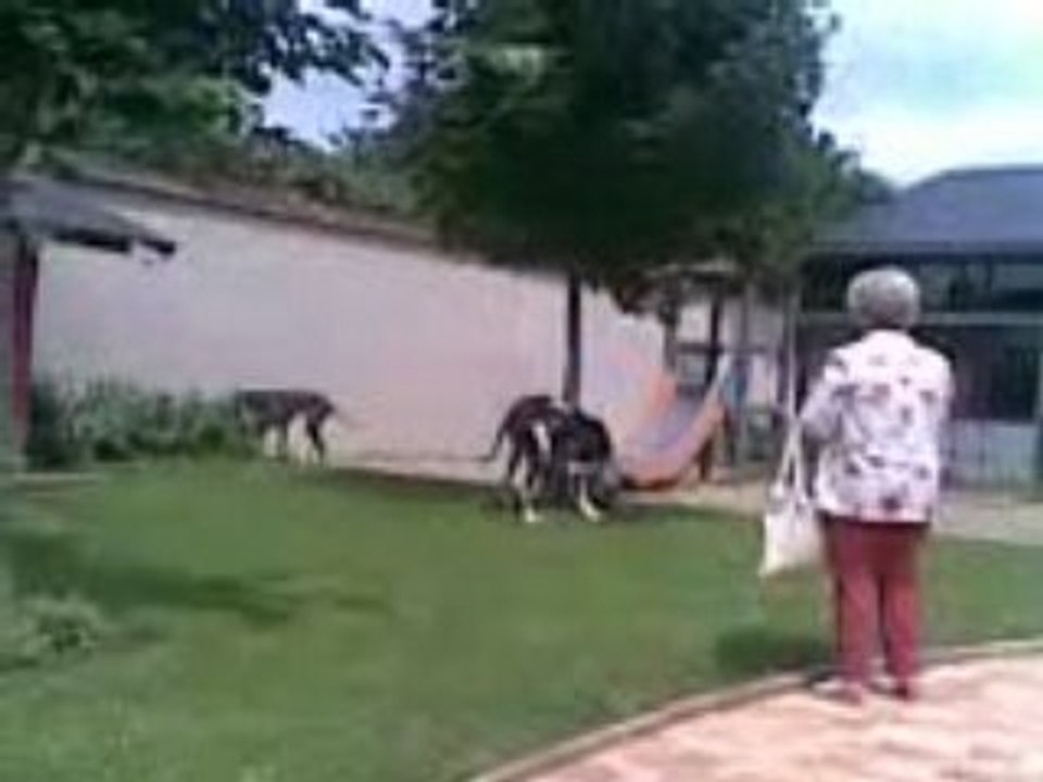 1éré pretendante de BRAT