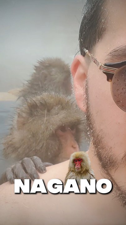JE ME SUIS BAIGNÉ AVEC LES SINGES DE NAGANO 🐒♨️