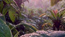 Dawn Ritual | Jaguar Medicine Tribe