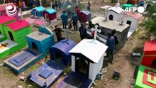 El narco desaloja un pueblo de México a bombazos