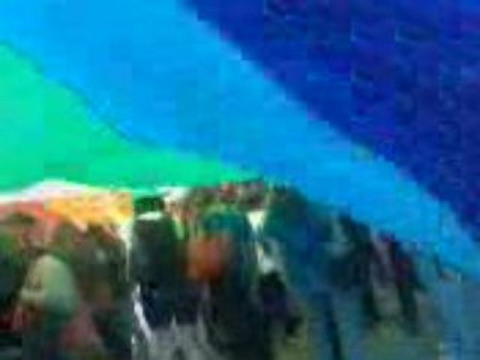 Gay Pride Toulouse 2008