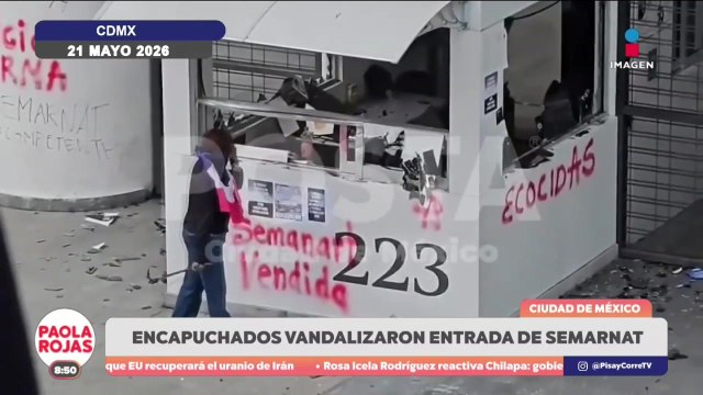 Colectivos celebran freno a proyecto Perfect Day en Mahahual | De Pisa y Corre con Paola Rojas