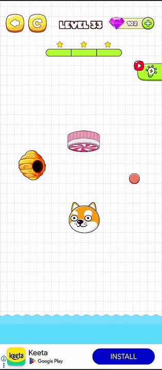 Save The Pets Level 33