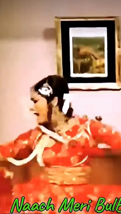 Naach meri bulbul tujhe Paisa milega Hindi songs