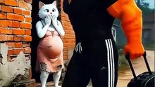 Cat leave the cat husband Alon with baby