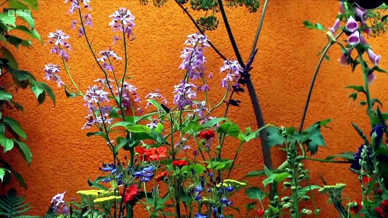 RHS Chelsea Flower Show 2026 episode 11