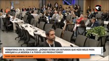CONGRESO ¿DÓNDE ESTÁN LOS ESTUDIOS QUE HIZO MILEI PARA ARROJAR A LA MISERIA Y TODOS LOS PRODUCTORES