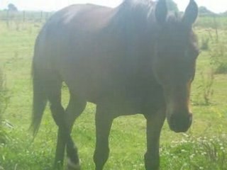 Nyamoko content de me voir !!