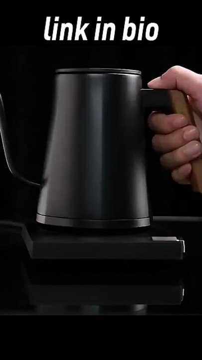 600ml Stainless Steel Gooseneck Kettle with Precise Temperature Control