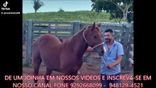 FAZENDA COM 2400 ALQUEIRÃO AVENDA  CMC