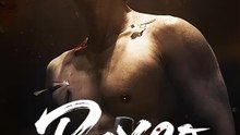 Boxeo | Serie Completa | Short Drama Español