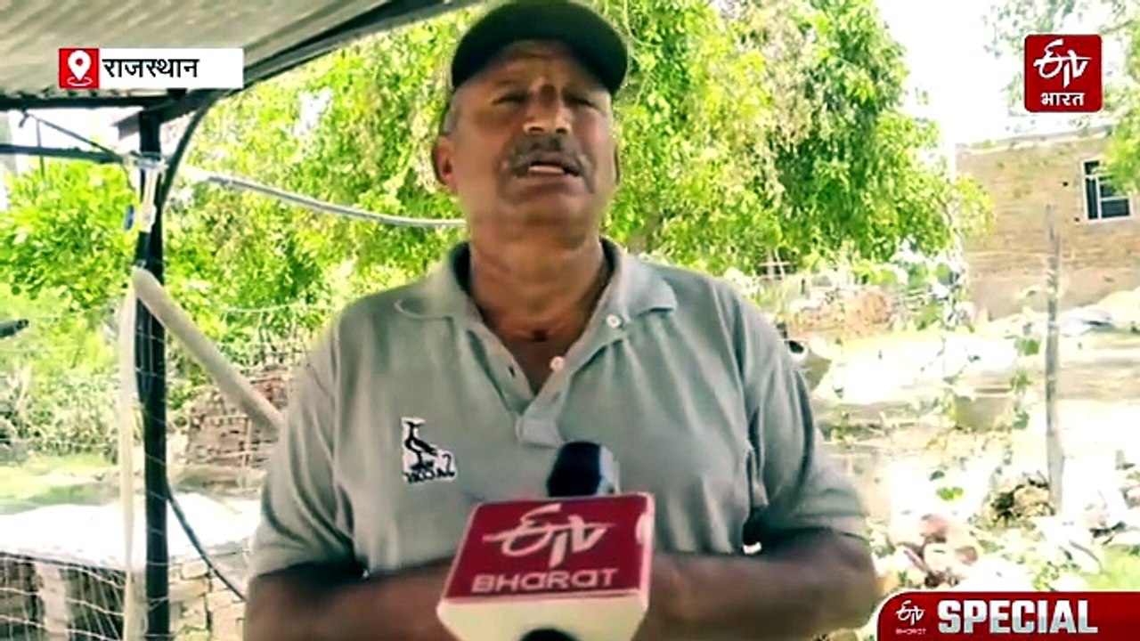 केवलादेव राष्ट्रीय उद्यान: जैव विविधता पर मंडराता संकट, गायब हो रहीं दुर्लभ प्रजातियां, बिगड़ रहा वेटलैंड