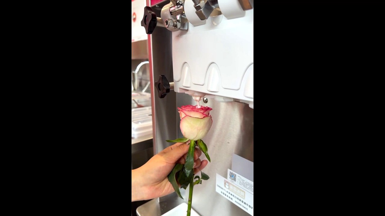 White Rose ice cream 🌹