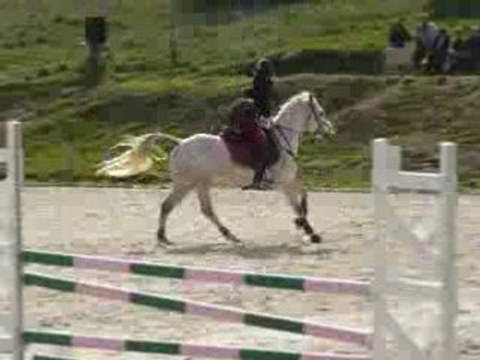 PARCOURS CSO D2P MARION ET GIBOULE