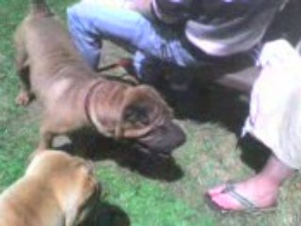 rencontre du 14 juin 2008 au mans