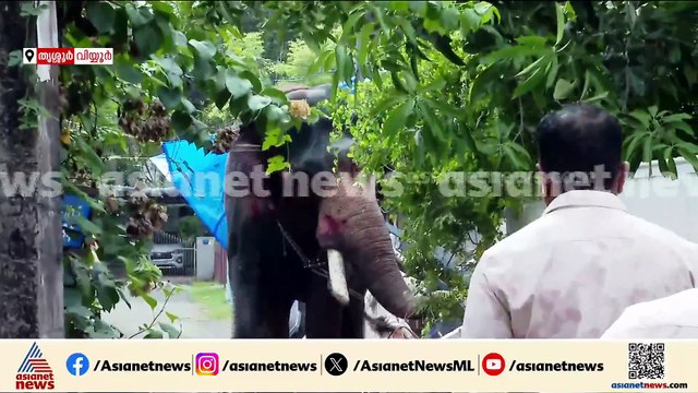 അക്രമാസക്തമായി ആന, എലഫന്റ് സ്ക്വാഡ് സ്ഥലത്ത് എത്തി