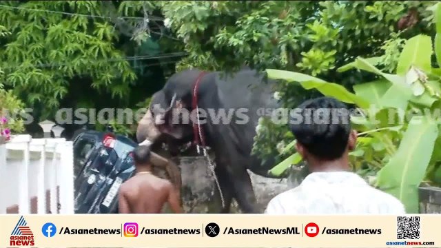 തൃശ്ശൂർ നഗരത്തിൽ ആനയിടഞ്ഞു; ശിവം ലക്ഷ്മി അയ്യപ്പൻ എന്ന ആനയാണ് വിരണ്ടോടിയത്