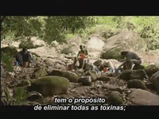 "Ayahuasca, Eu e a Serpente" (1)