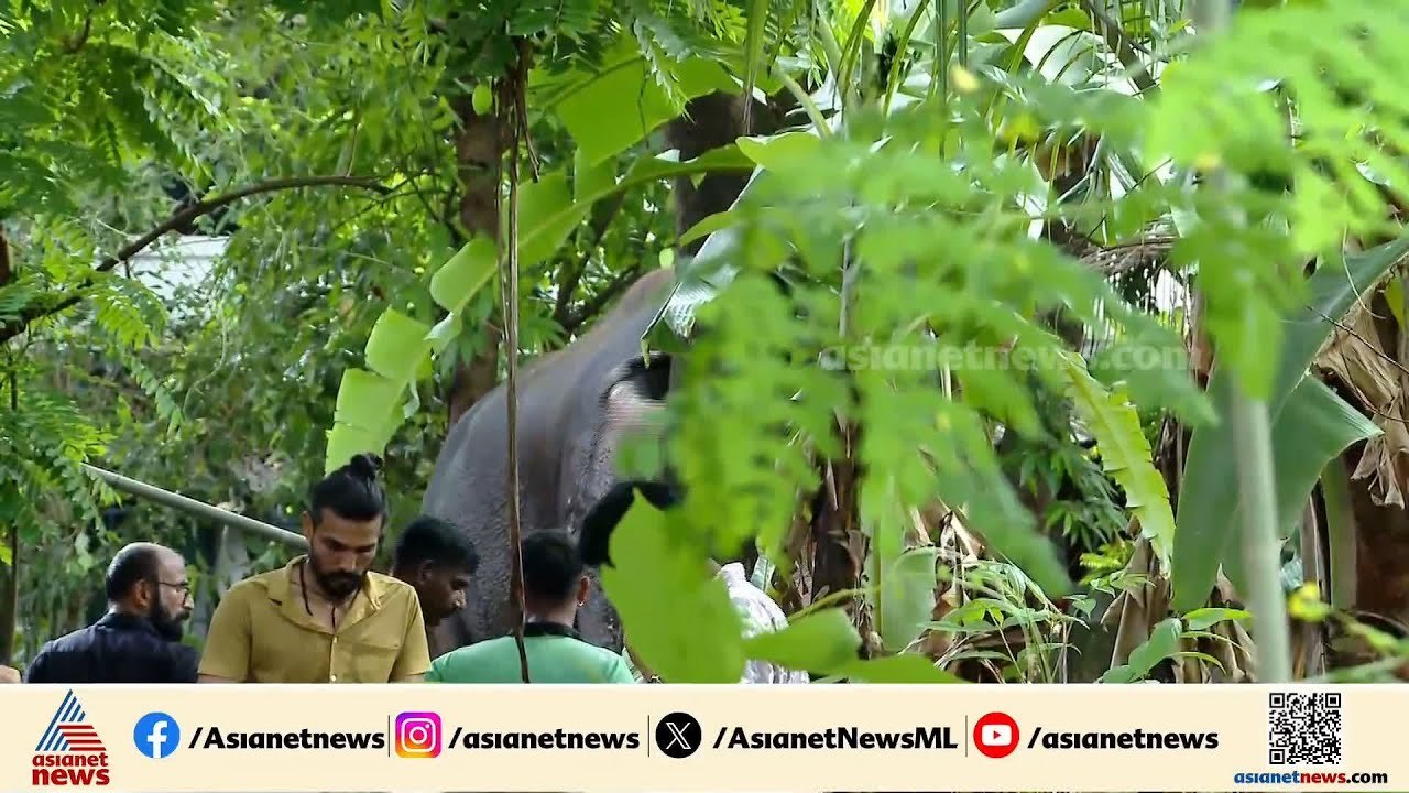 തൃശൂരിൽ വൻ നാശനഷ്ടം;  ശിവം ലക്ഷ്മി അയ്യപ്പൻറെ ക...