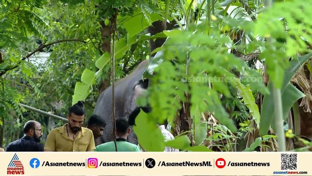 തൃശൂരിൽ വൻ നാശനഷ്ടം; ശിവം ലക്ഷ്മി അയ്യപ്പൻറെ കലിയുടെ കാരണം പാപ്പന്റെ മർദനമോ?