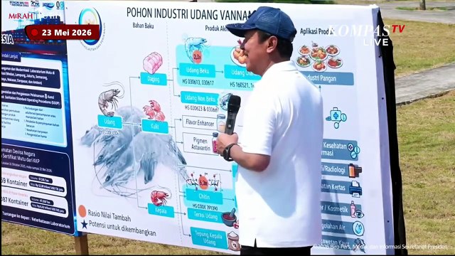Detik-detik Prabowo Saksikan Nelayan Tambak Udang Kebumen Tebar Jala Saat Panen