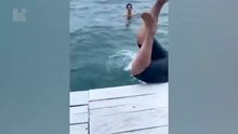 99% Funniest Videos On The Internet 🤣 | Try Not To Laugh Challenge IMPOSSIBLE | Ultimate Funny Fails Compilation