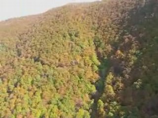 Parapente
