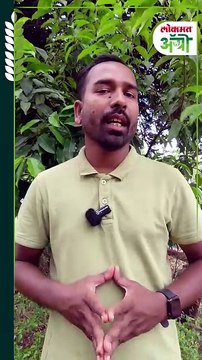 भाडेपट्ट्यावर शेत कसणाऱ्यांना आता पीक कर्ज, विमा मिळणार