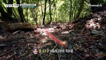 "끝도 없이 올라가네" 구구산장으로 가는 길의 시작부터 심상치 않은 오르막길