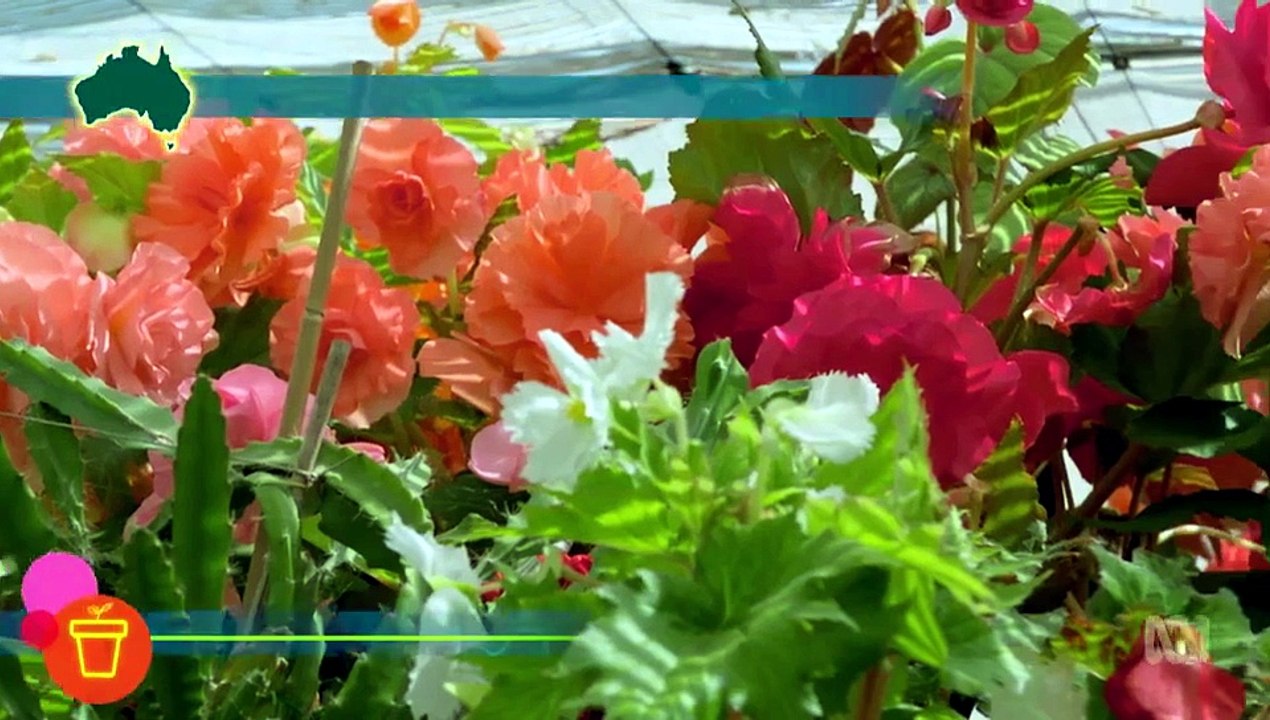 Gardening Australia S37E13