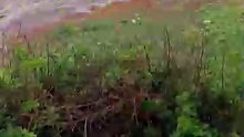 കാപ്പിൽ തീരത്ത് മഴയുടെ മായാജാലം