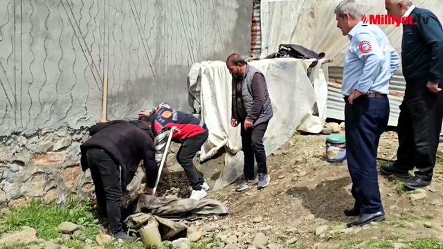 3 metrelik dev yılan evin altına yuva yaptı, belediye harekete geçti: Aileme zarar verecek diye korkuyoruz