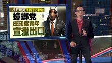 强大政治号召力席卷全国   印度冒出打不死“蟑螂党”