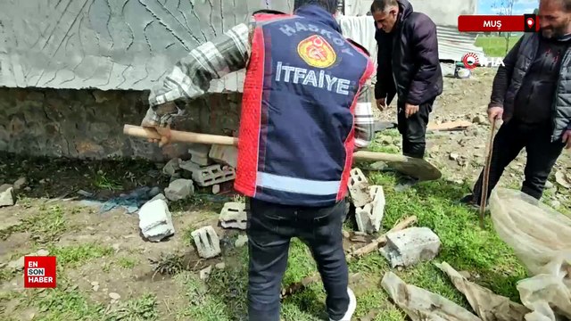 Muş'ta yılan paniği: Belediye ekipleri harekete geçti