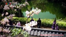 Tập 34 - Quân Sư Liên Minh_Phần 1 (Lồng tiếng)_DV Ngô Tú Ba, Lý Thần, Vu Hòa Vỹ