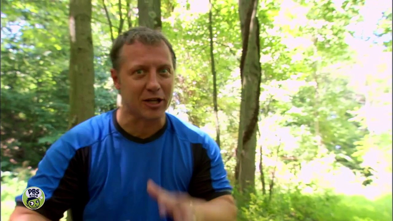 Wild Kratts Aardvark Town